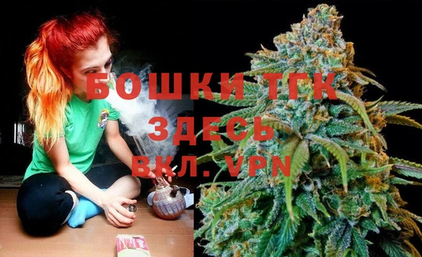 молекула духа Железногорск-Илимский
