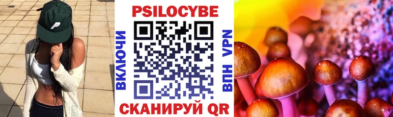 цена   Киселёвск  Псилоцибиновые грибы Psilocybine cubensis 