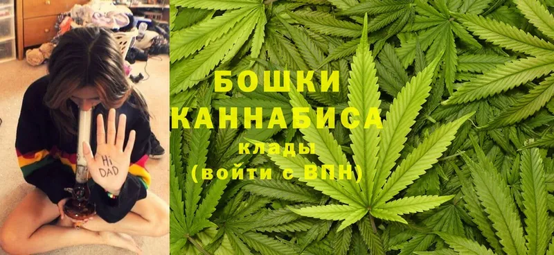 Бошки Шишки SATIVA & INDICA  что такое   Киселёвск 